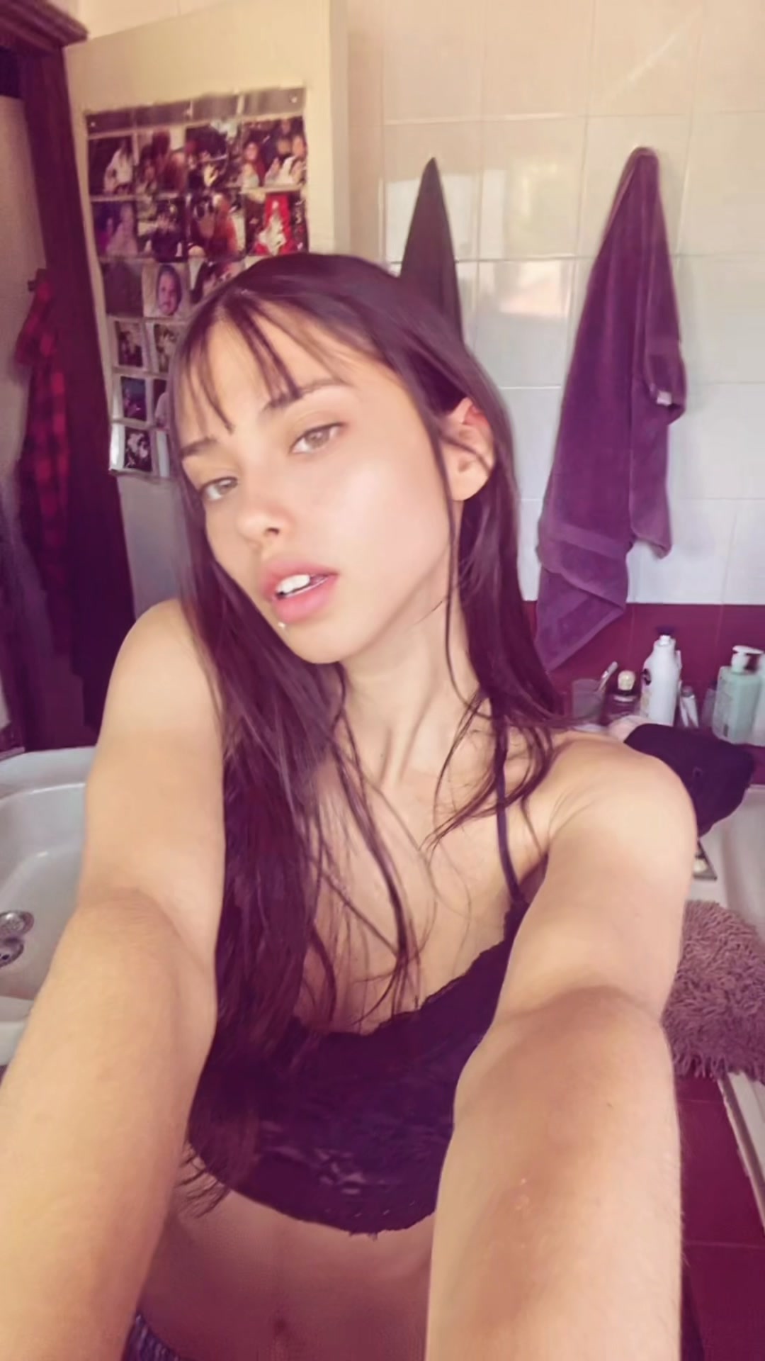 @Lucía Tripodi 😽