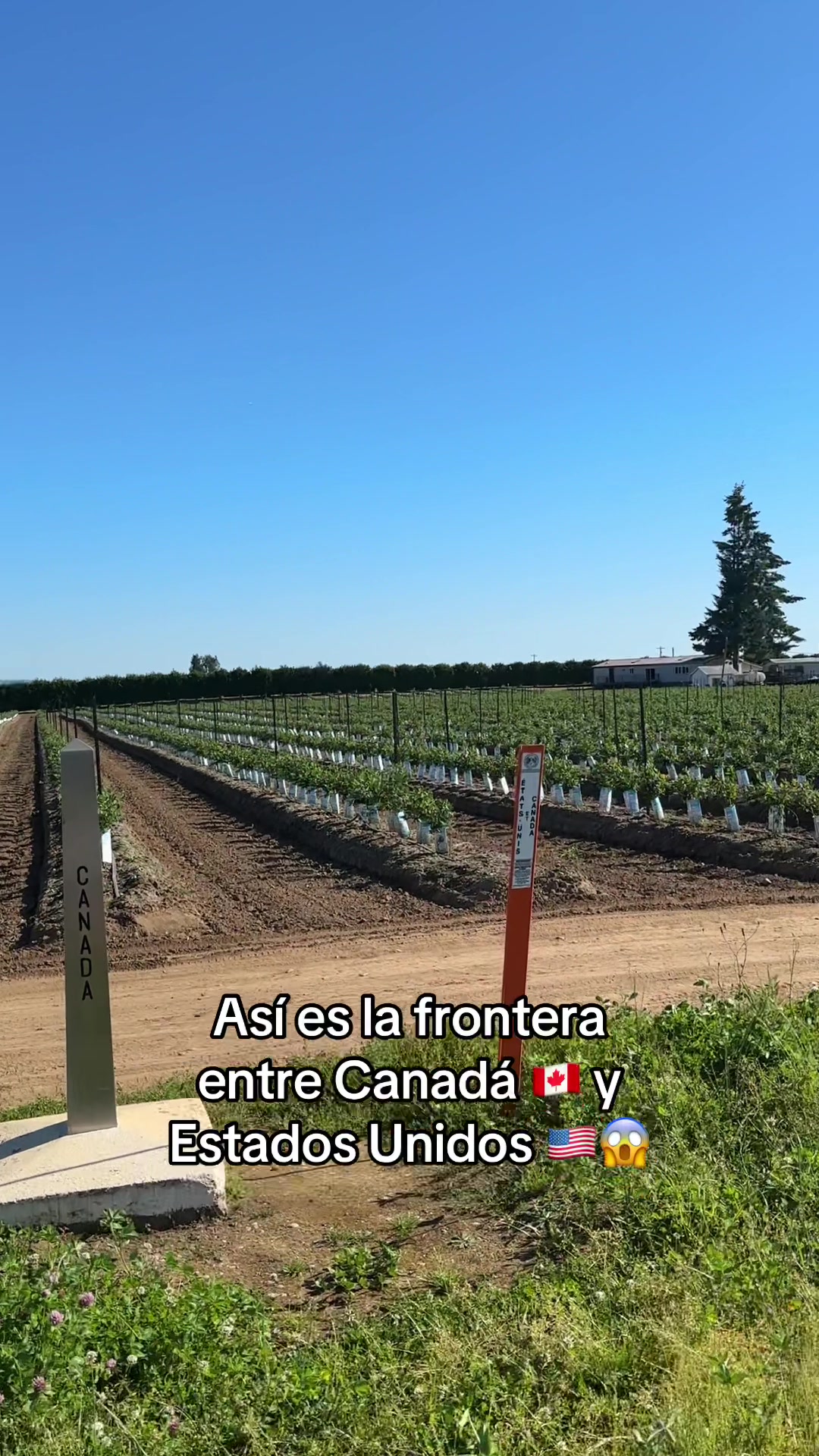 @Steph || Vivir en Canad&aacute; 🇨🇦