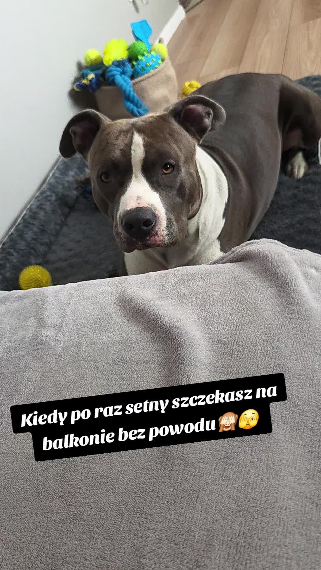 @Paco i ja💙