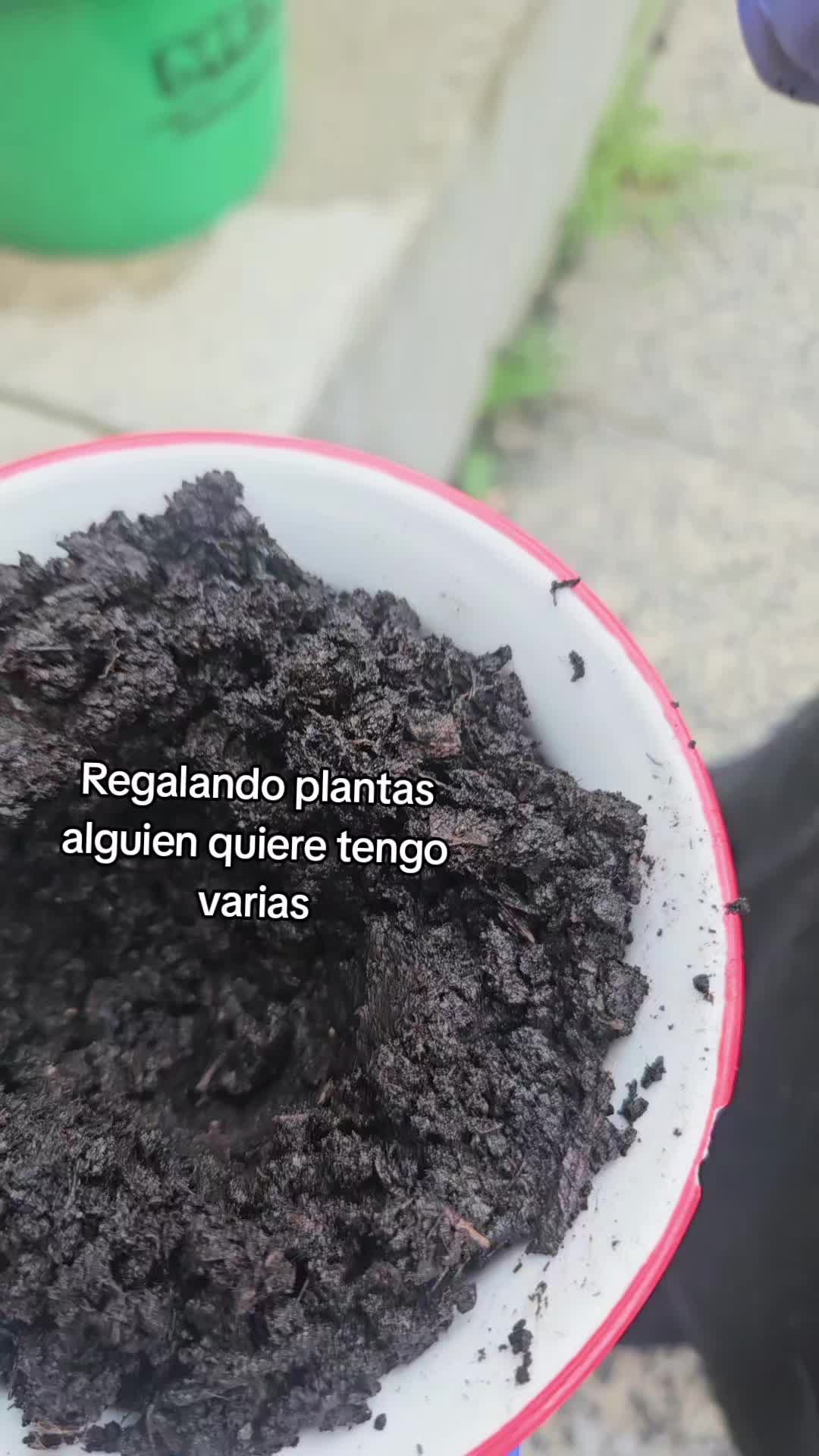 @vickytorres