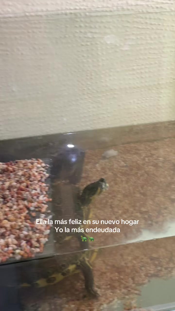 @camadelibros