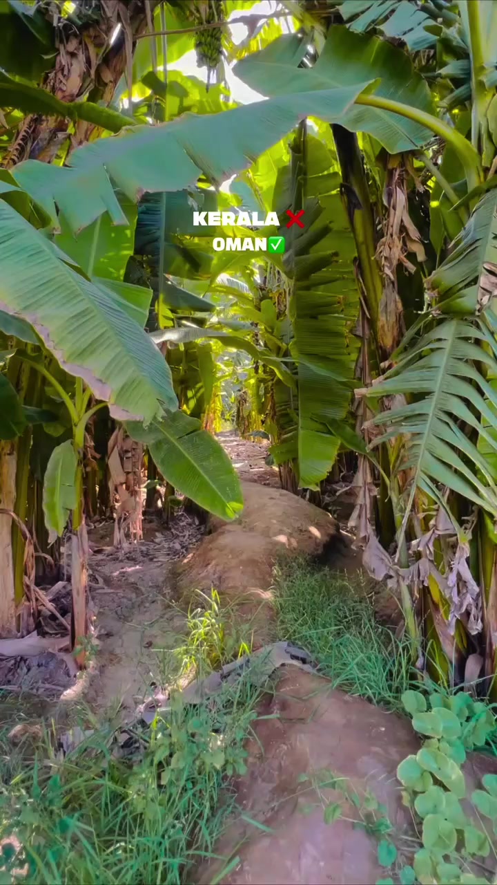 @hakimpalatharagate