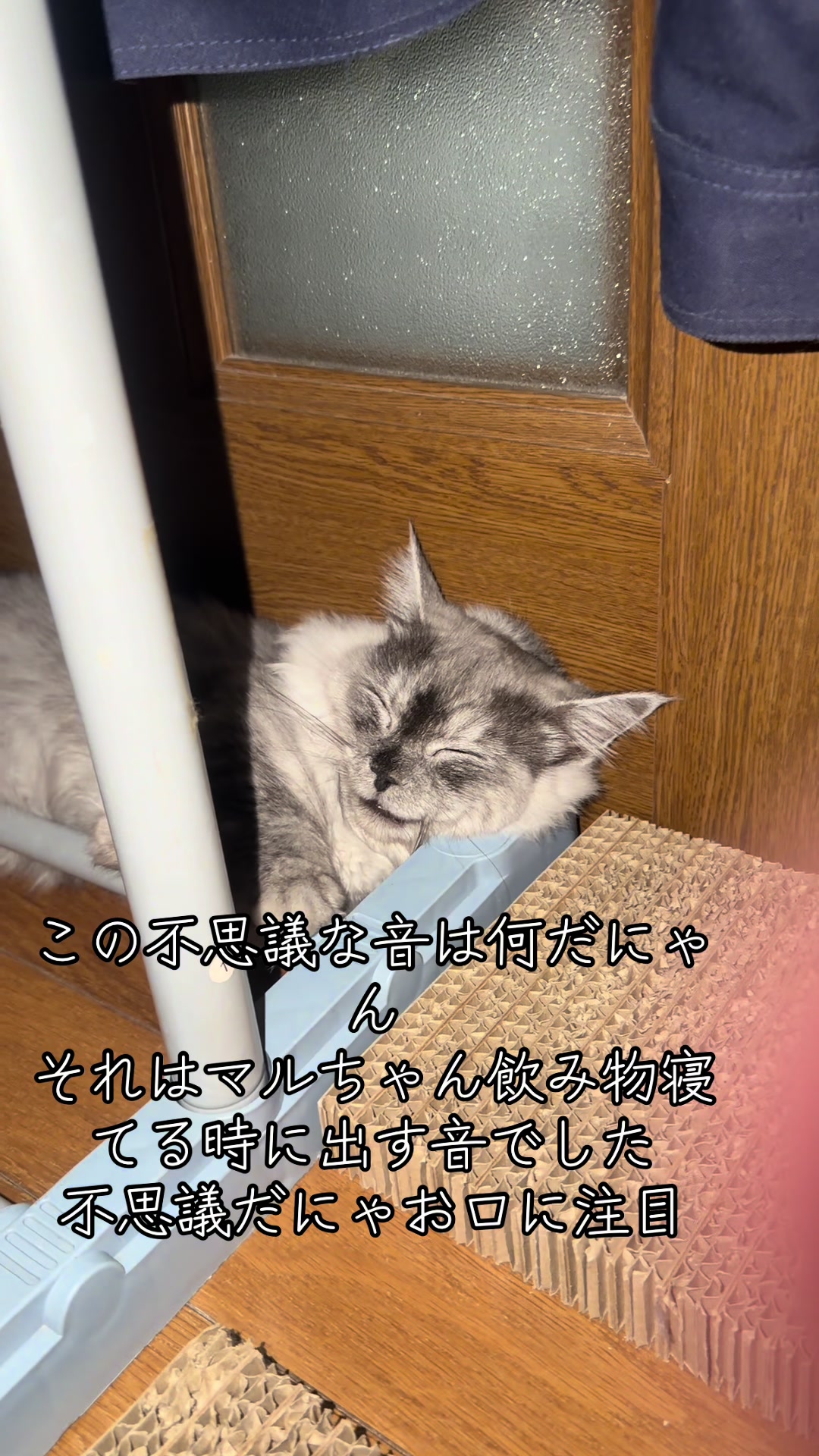 @ð¥é»æŸ€æ£å¿ð¥