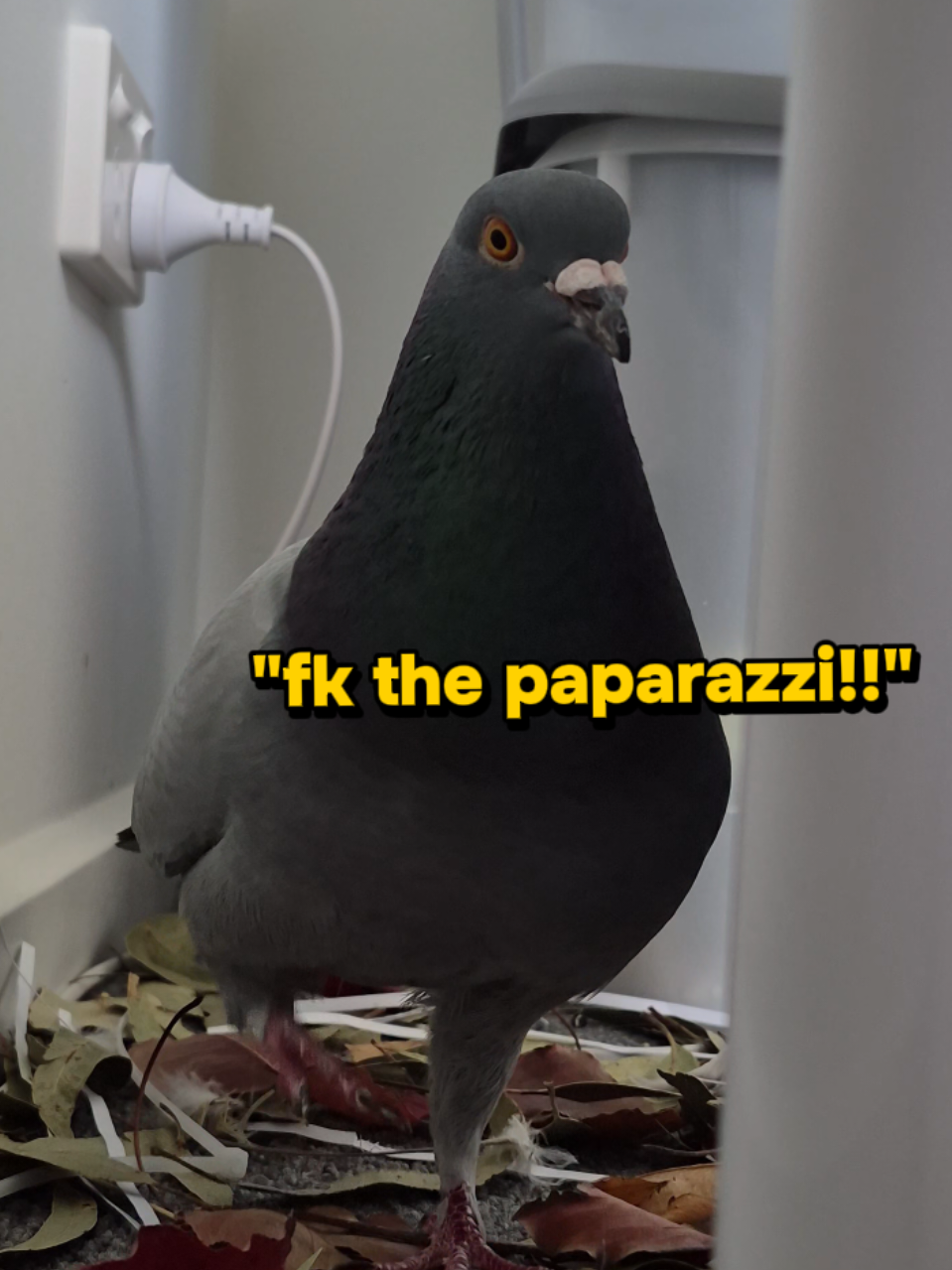@Teagan Leah