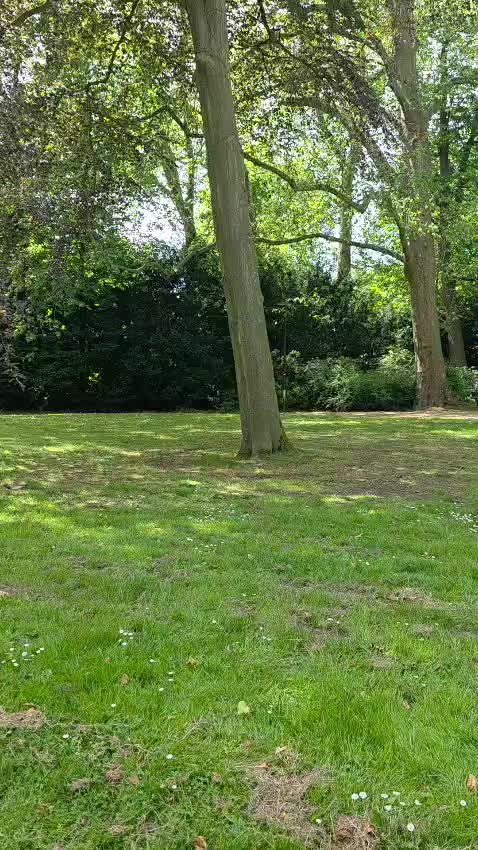 @المهندس