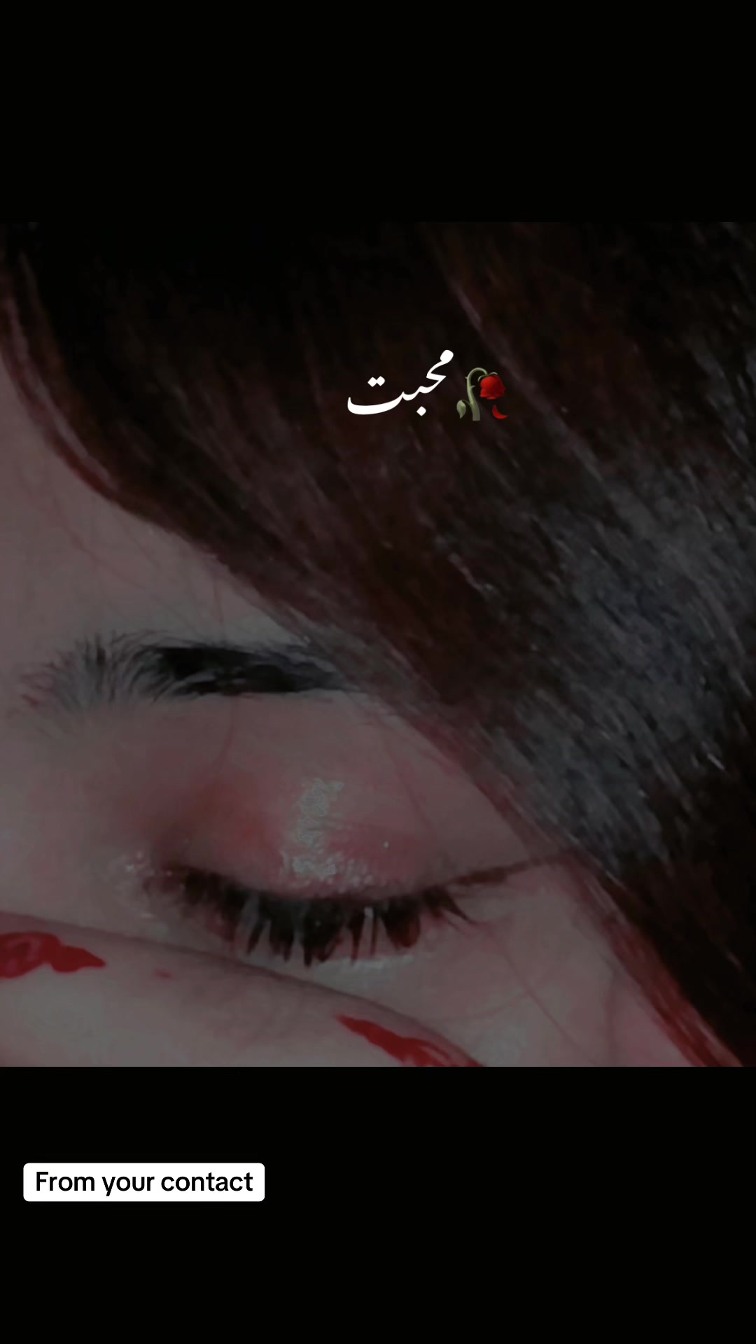 @𓆩ملکہ𓆪👑