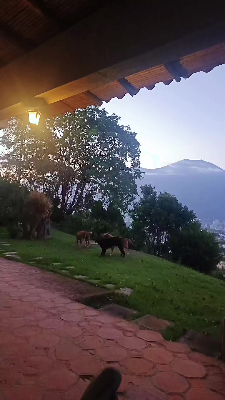 @Mirna Maria Perez