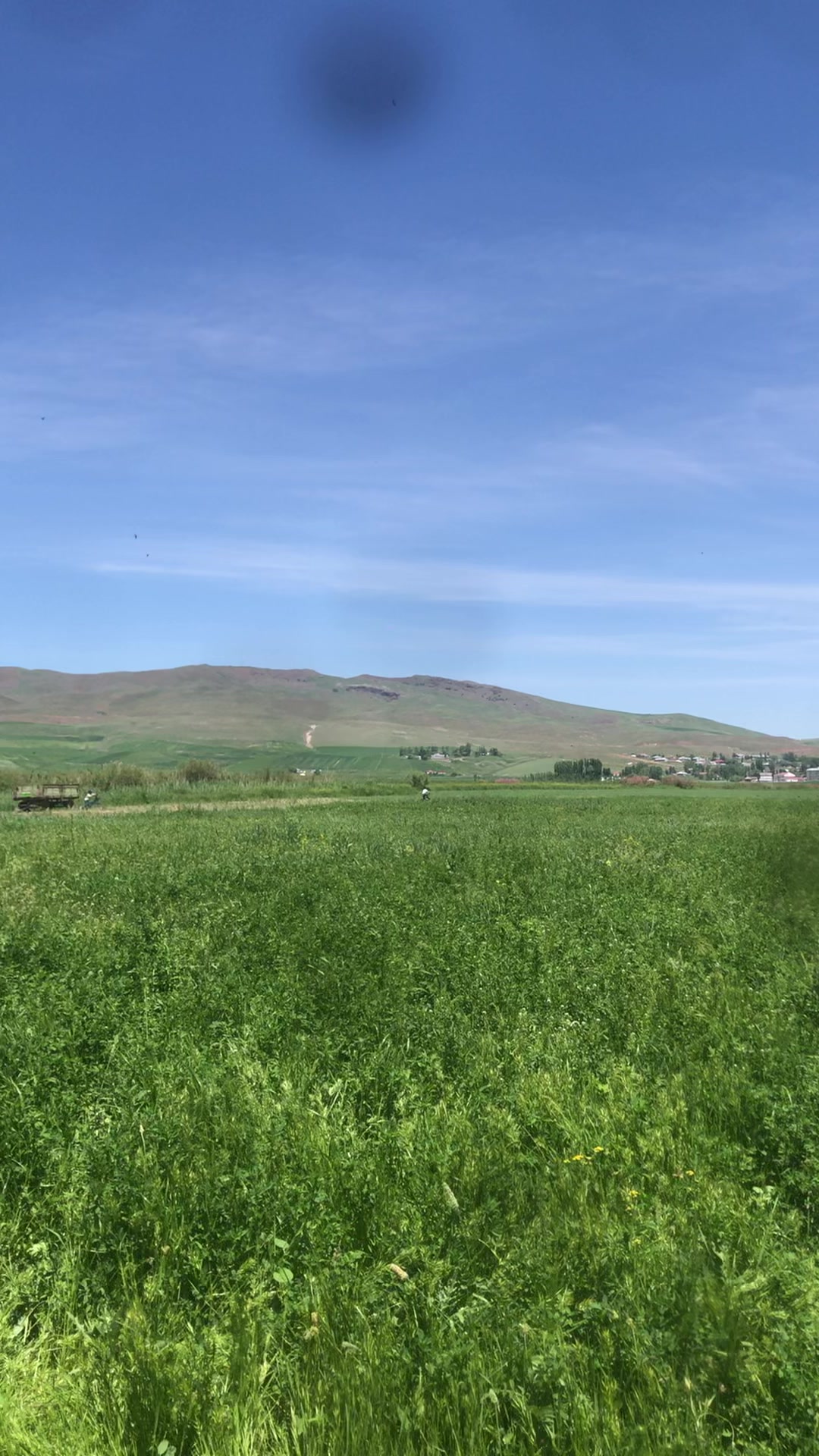 @azad &ccedil;elik
