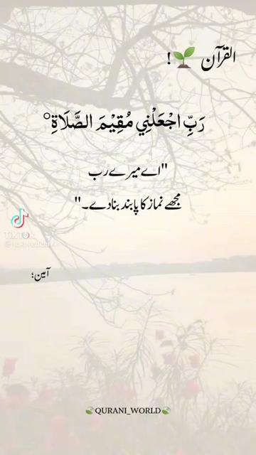 @❣️تورا غنم رنگا❣️