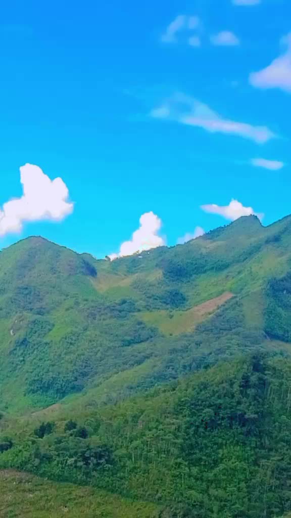 @baluko