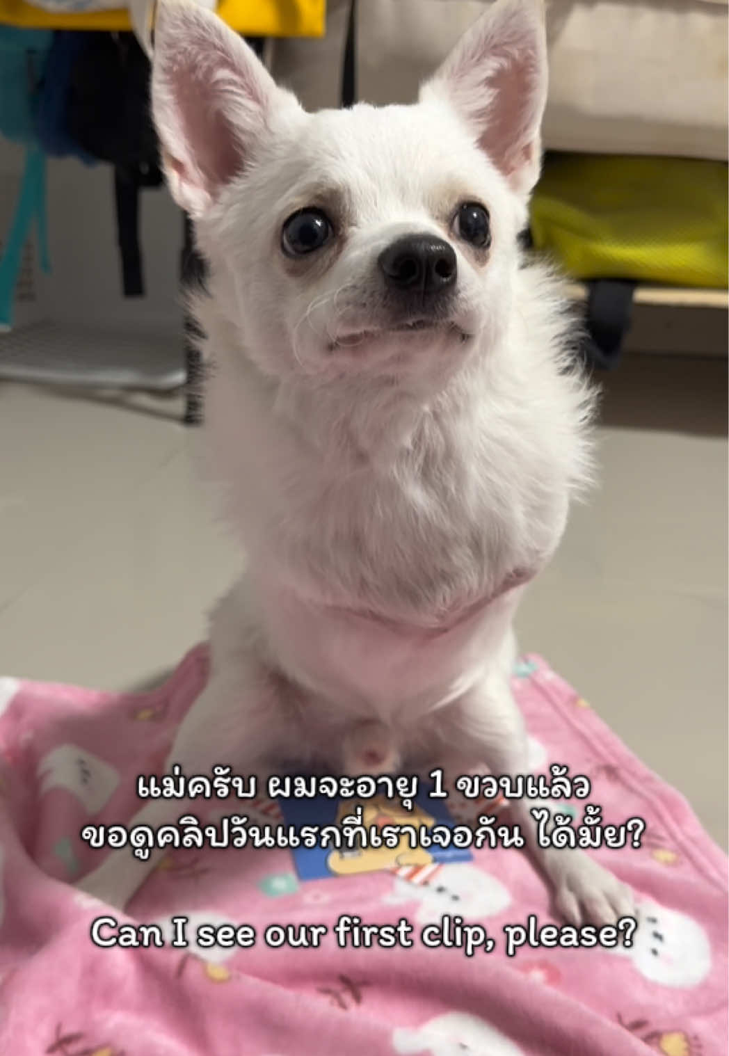 @ผมชื่อเฟิร์บ