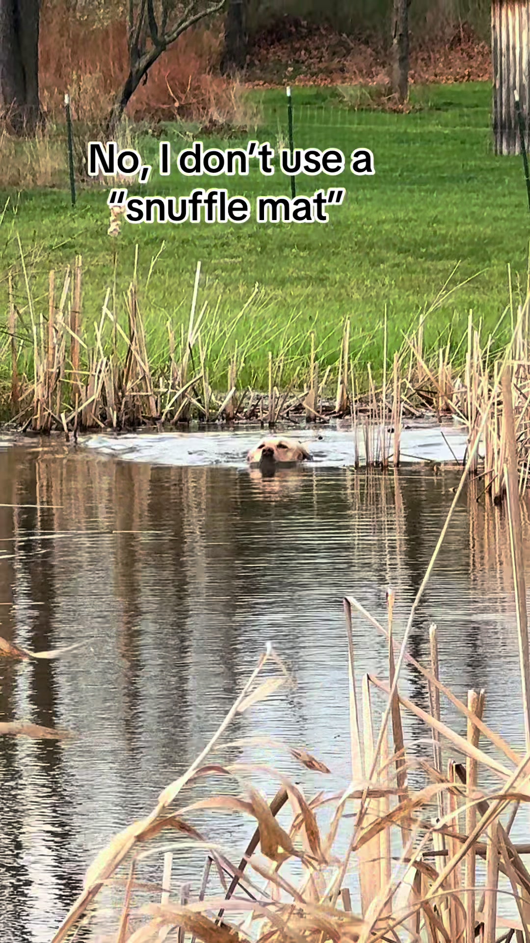 @Taylor Hughey