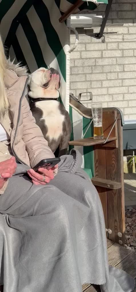 @Kalle 🐕