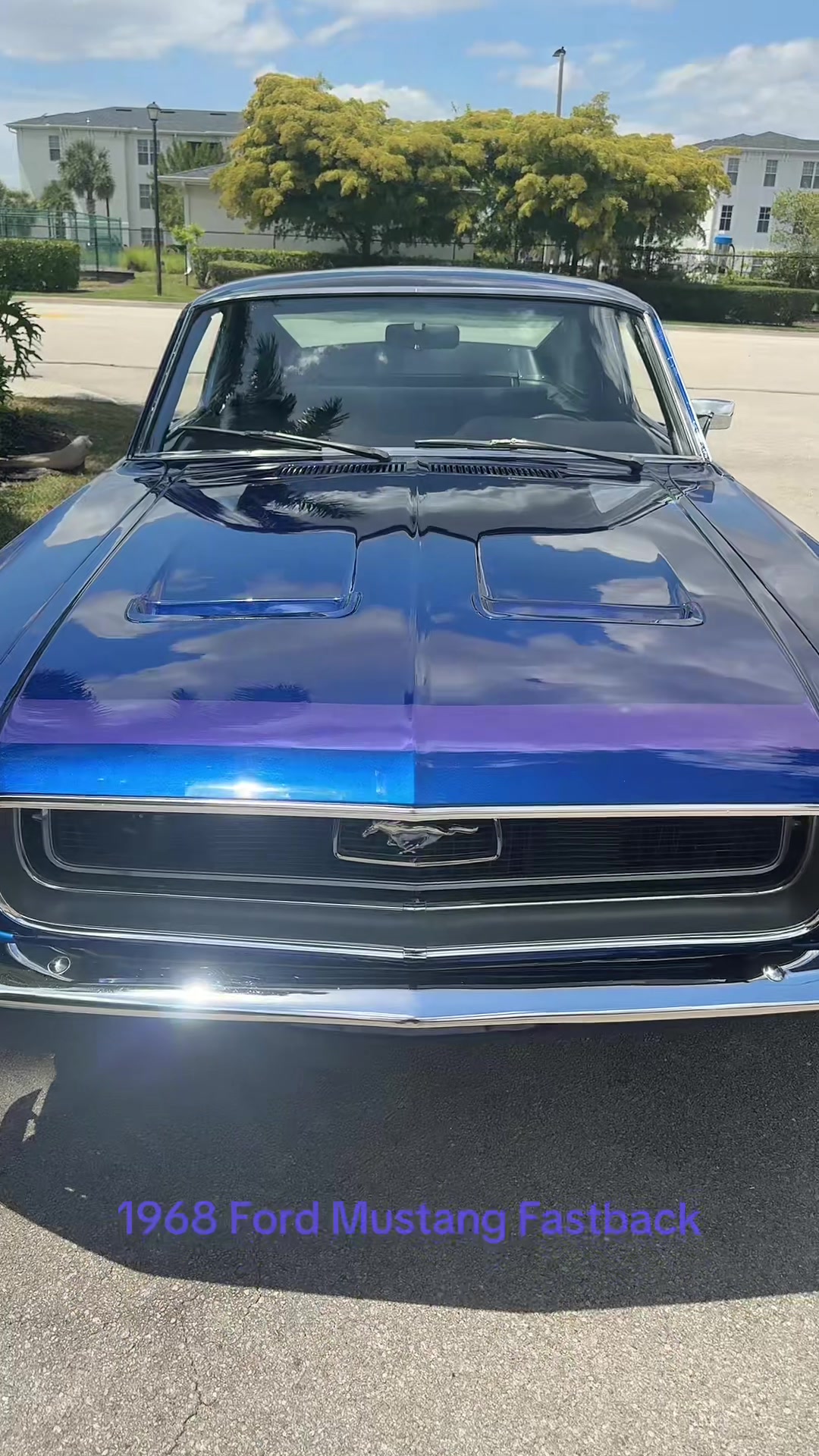 @TEK Muscle Cars For Sale