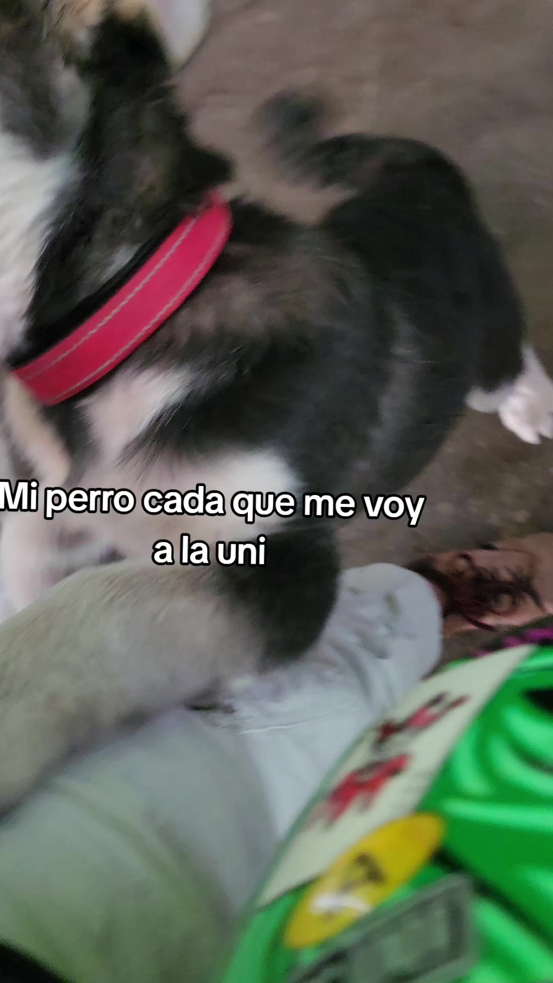 @Javierang08