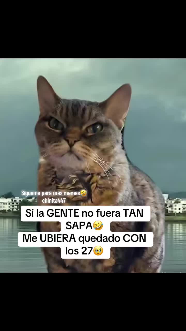 @❤️&zwj;🔥ch!n!t4OfiCiAl🔥