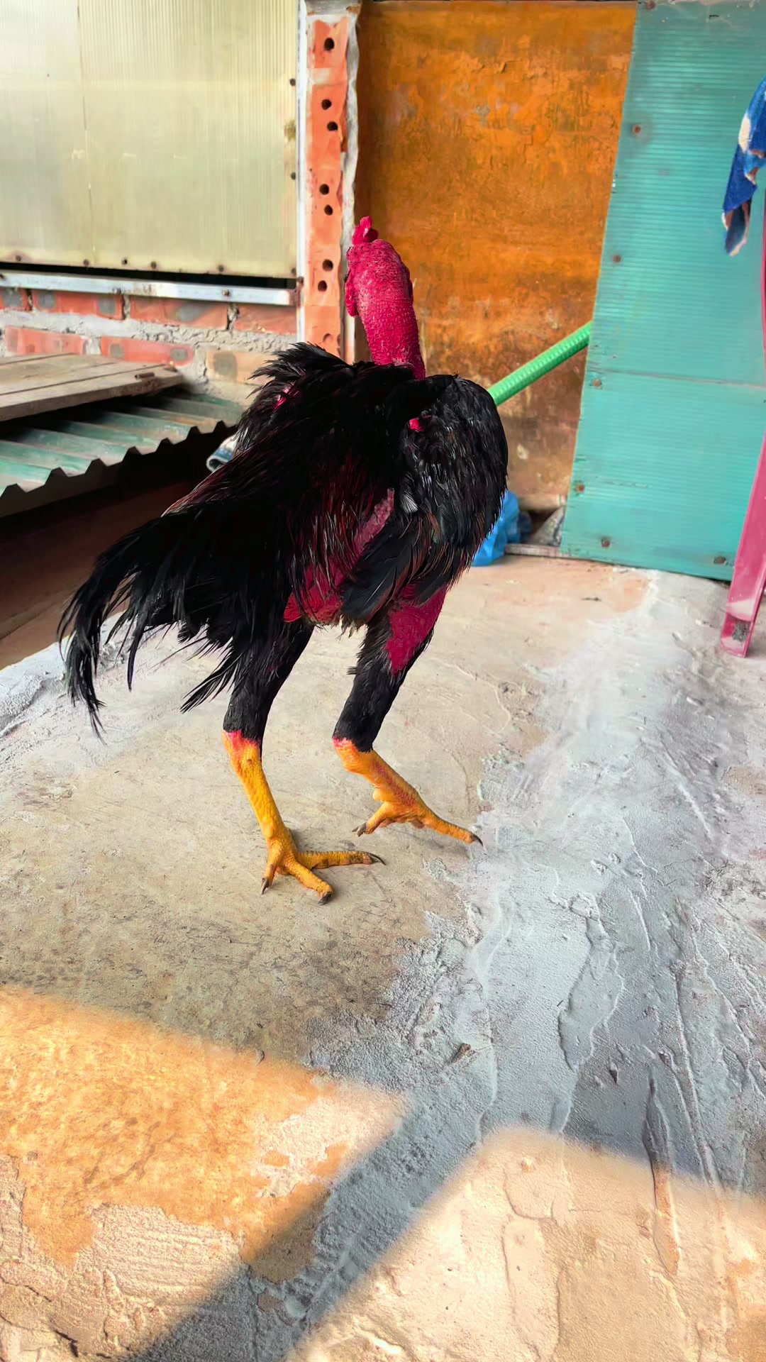@Anh Ng&ocirc; ✅