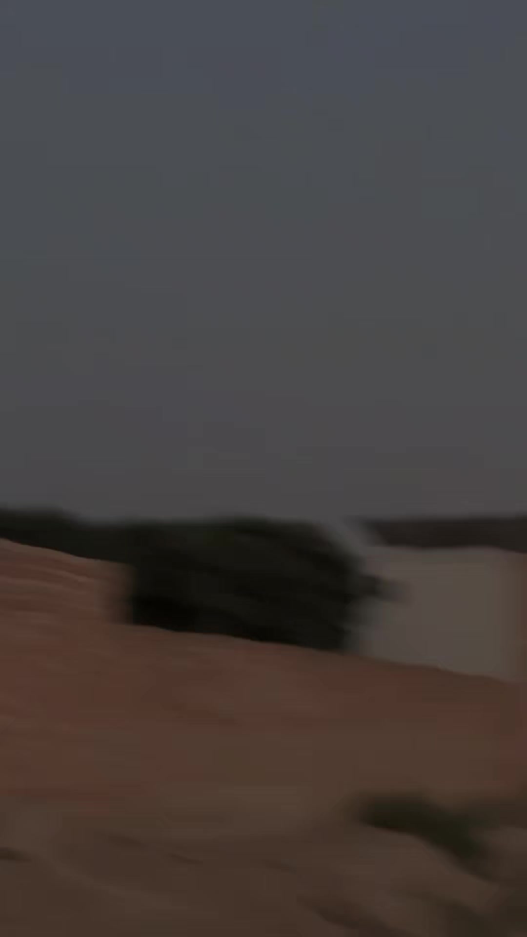 @🔥نمبردار ـ ذیشان ـ وہنیوال 💫