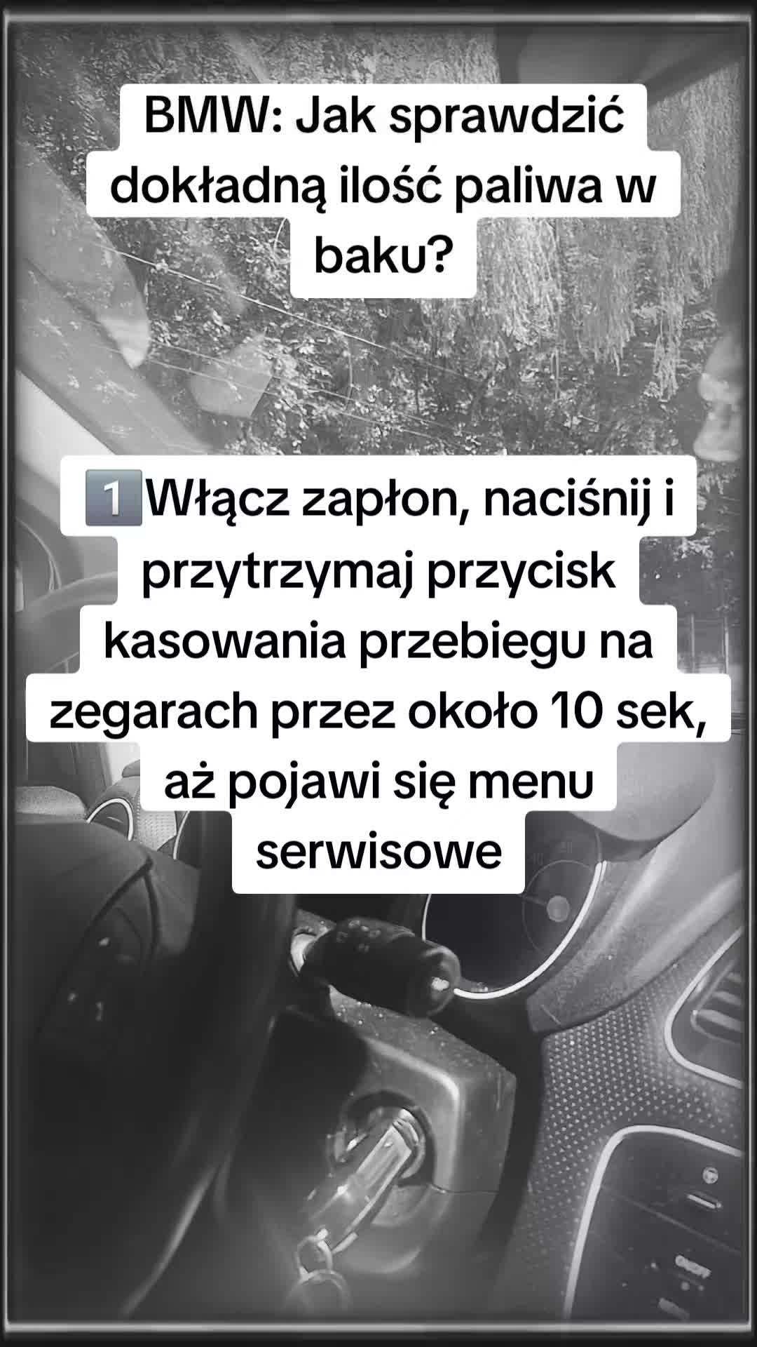 @MiszMasz