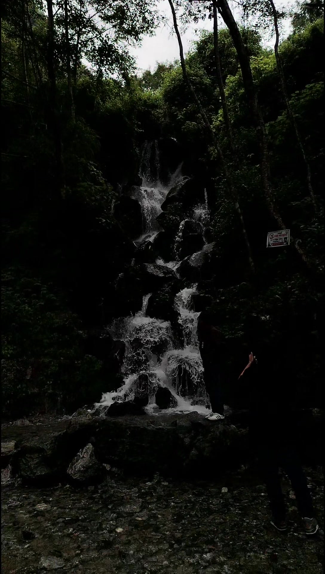 @sushhh