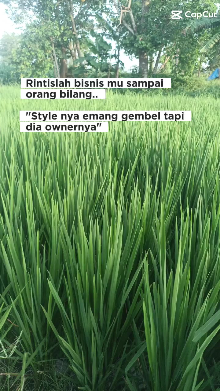 @WAKILE PUSAT