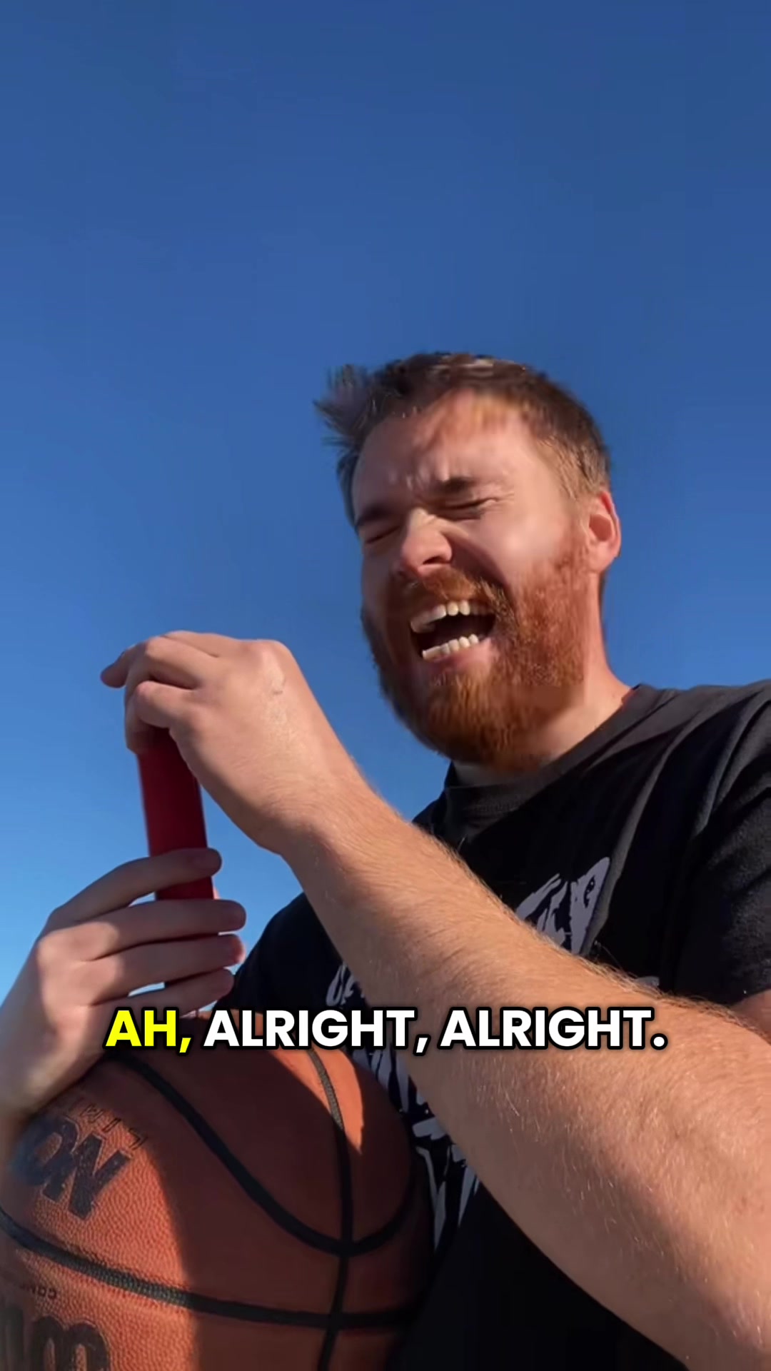 @Mr Bearded Dragon