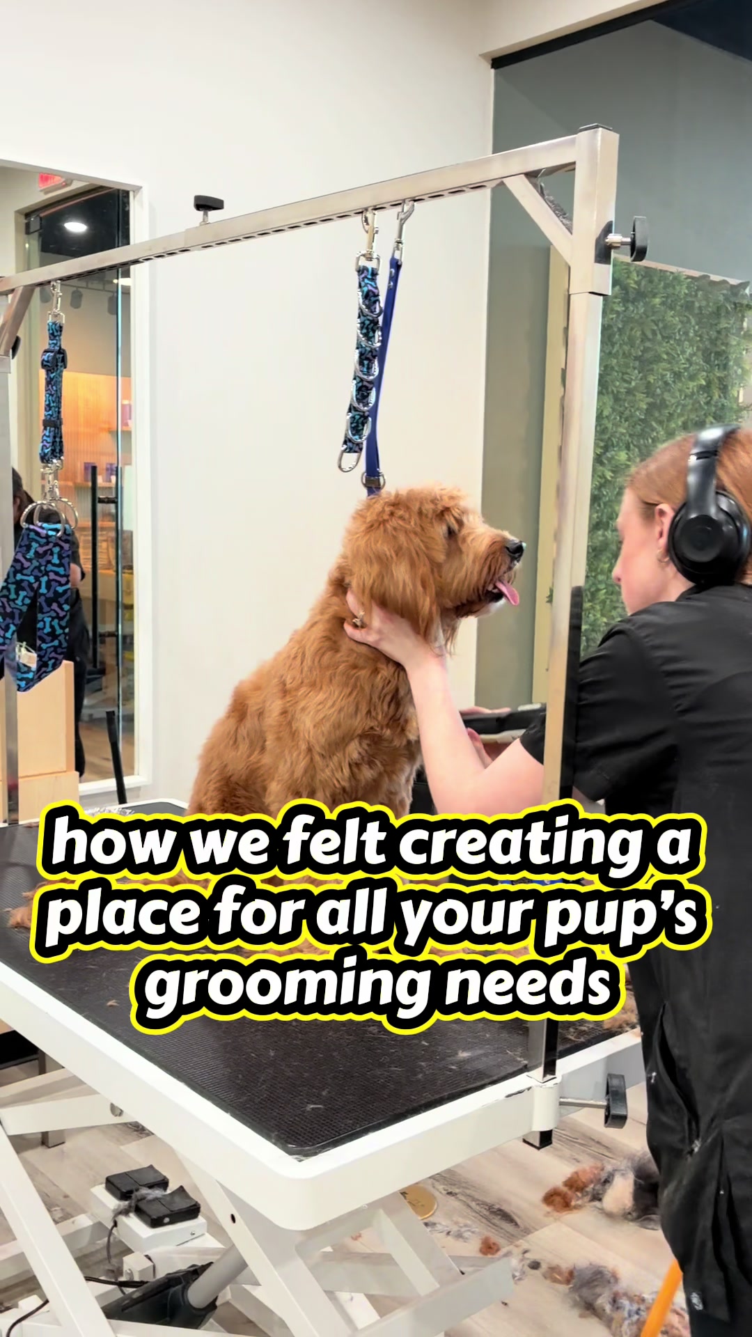 @Well Groomed Queen Creek