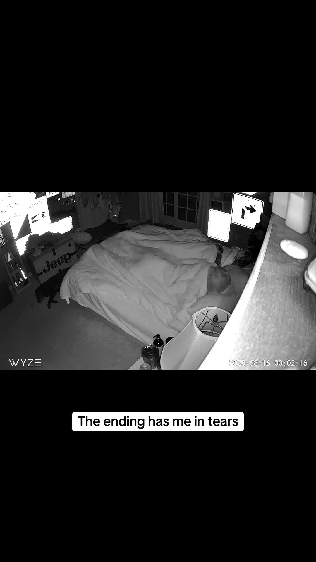 @Taylor Rene&eacute;