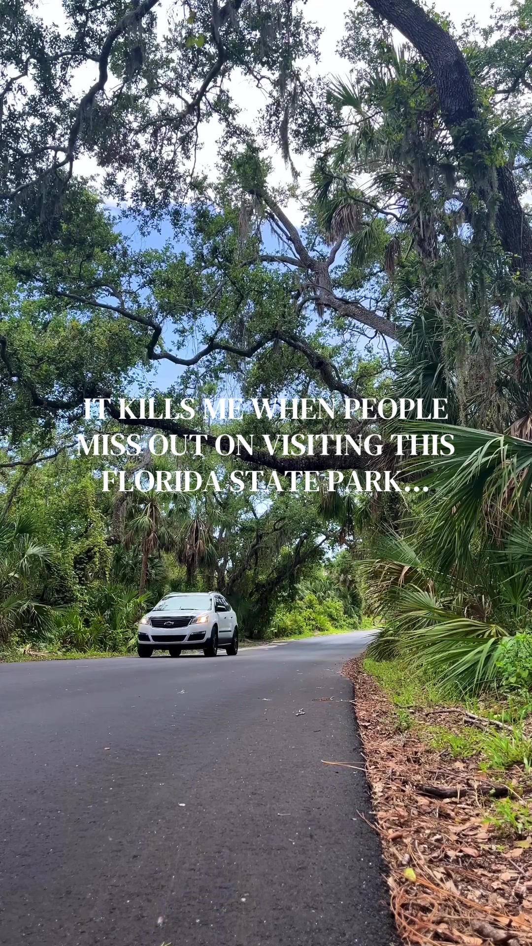 @Must See Florida