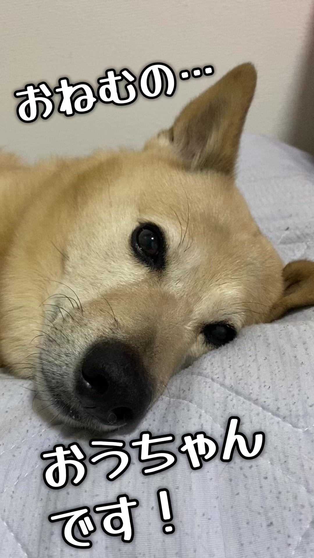 @てる
