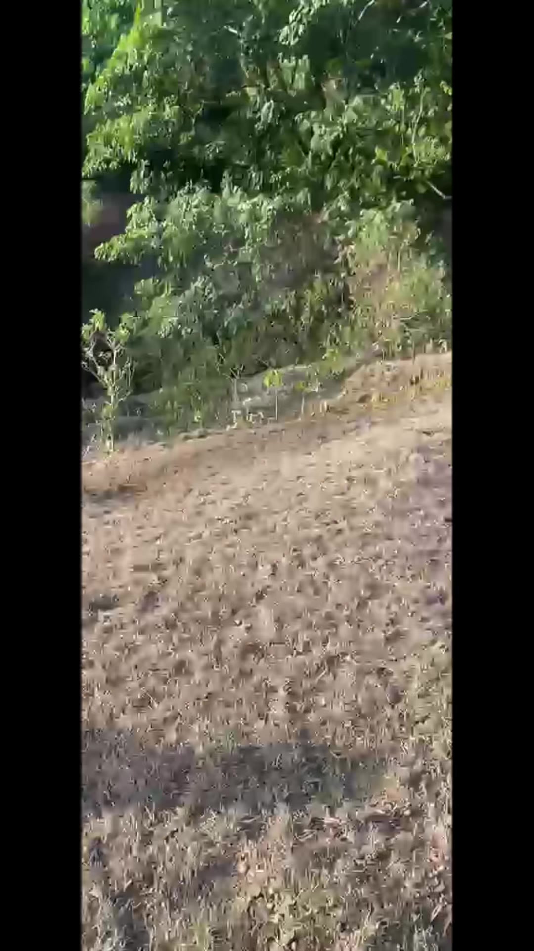 @Chuquito Peña Delgad