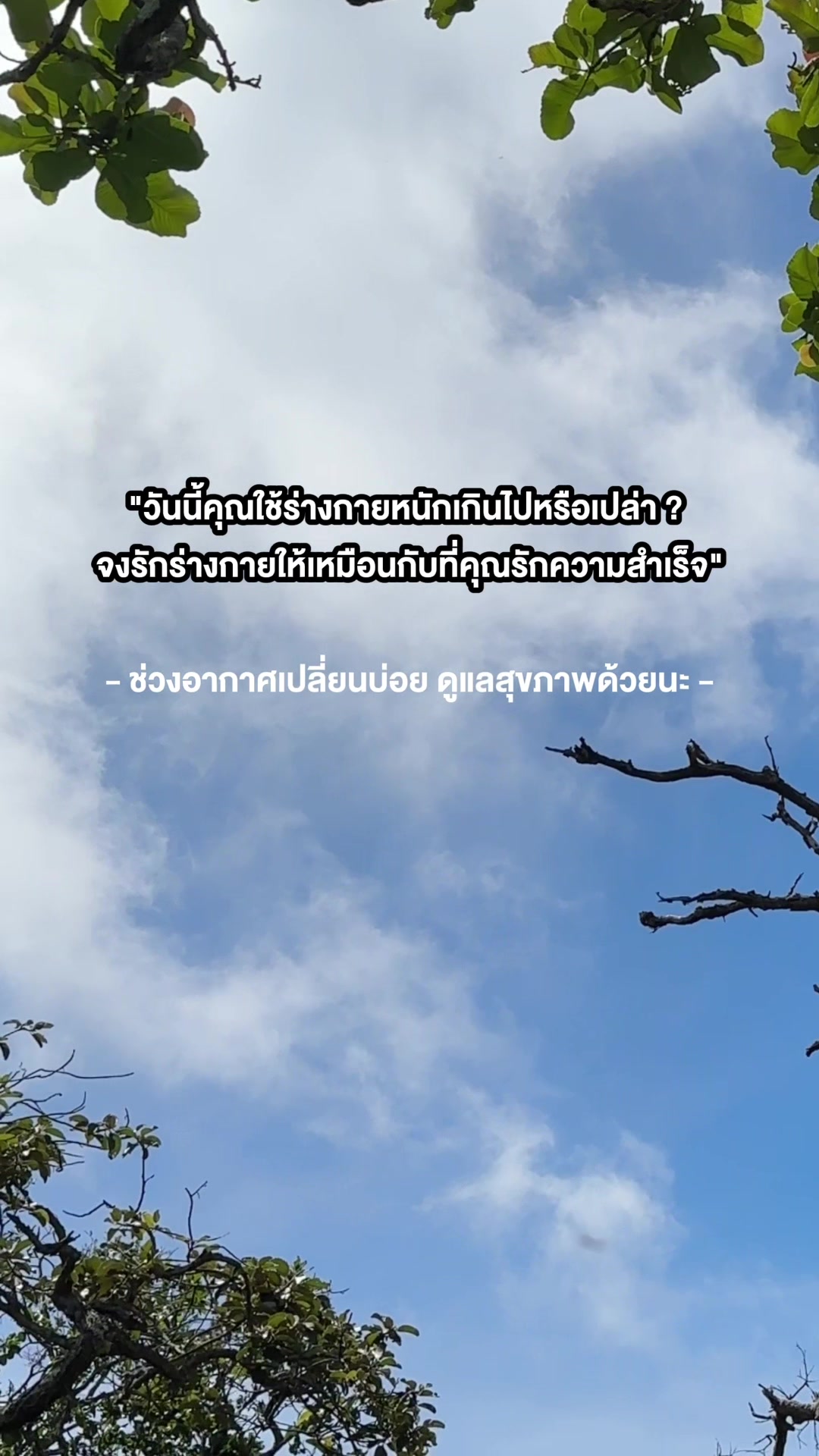 @เกียงมิ้ง เมดดิซิน