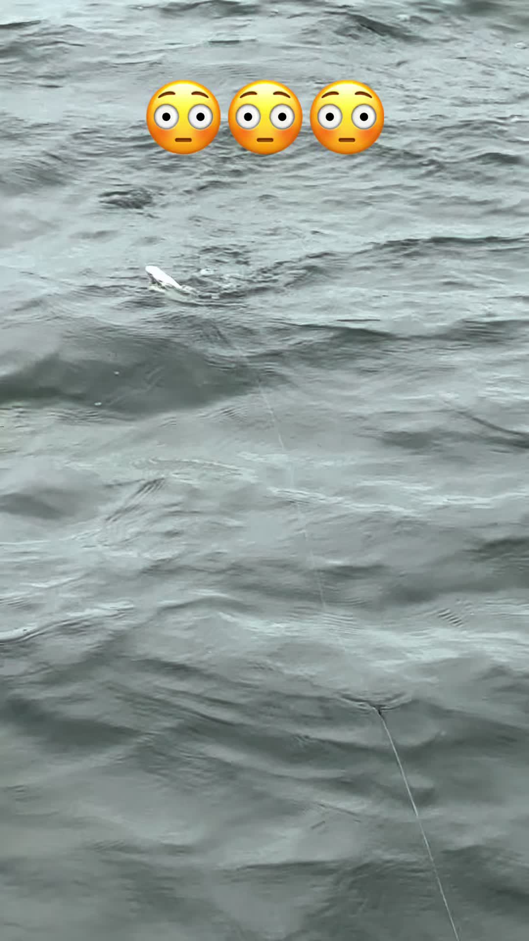 @evan_whitefishing