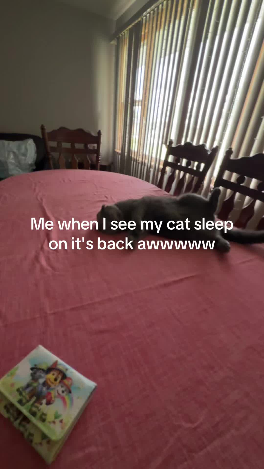 @ALINA
