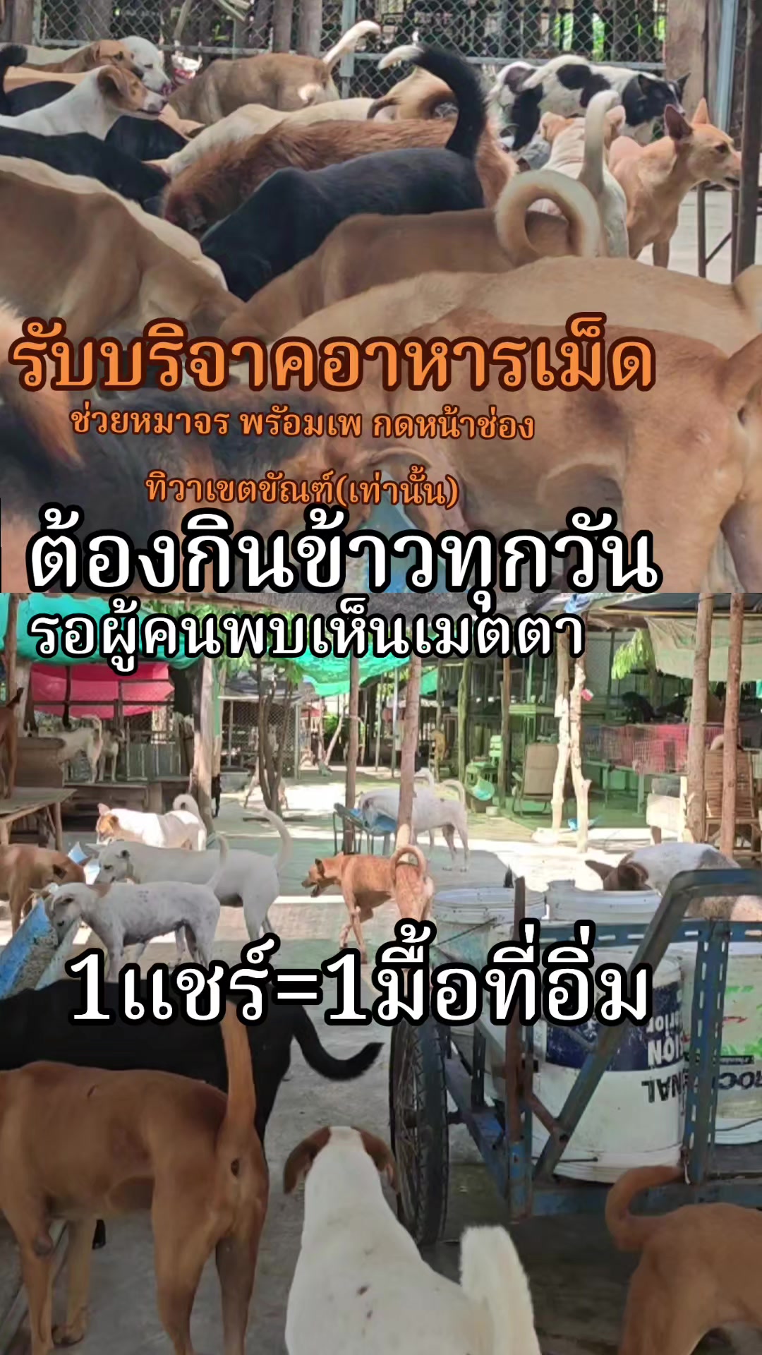 @๐๘๖๑๔o๘๓๙๖ทิวาเขตขัณฑ์
