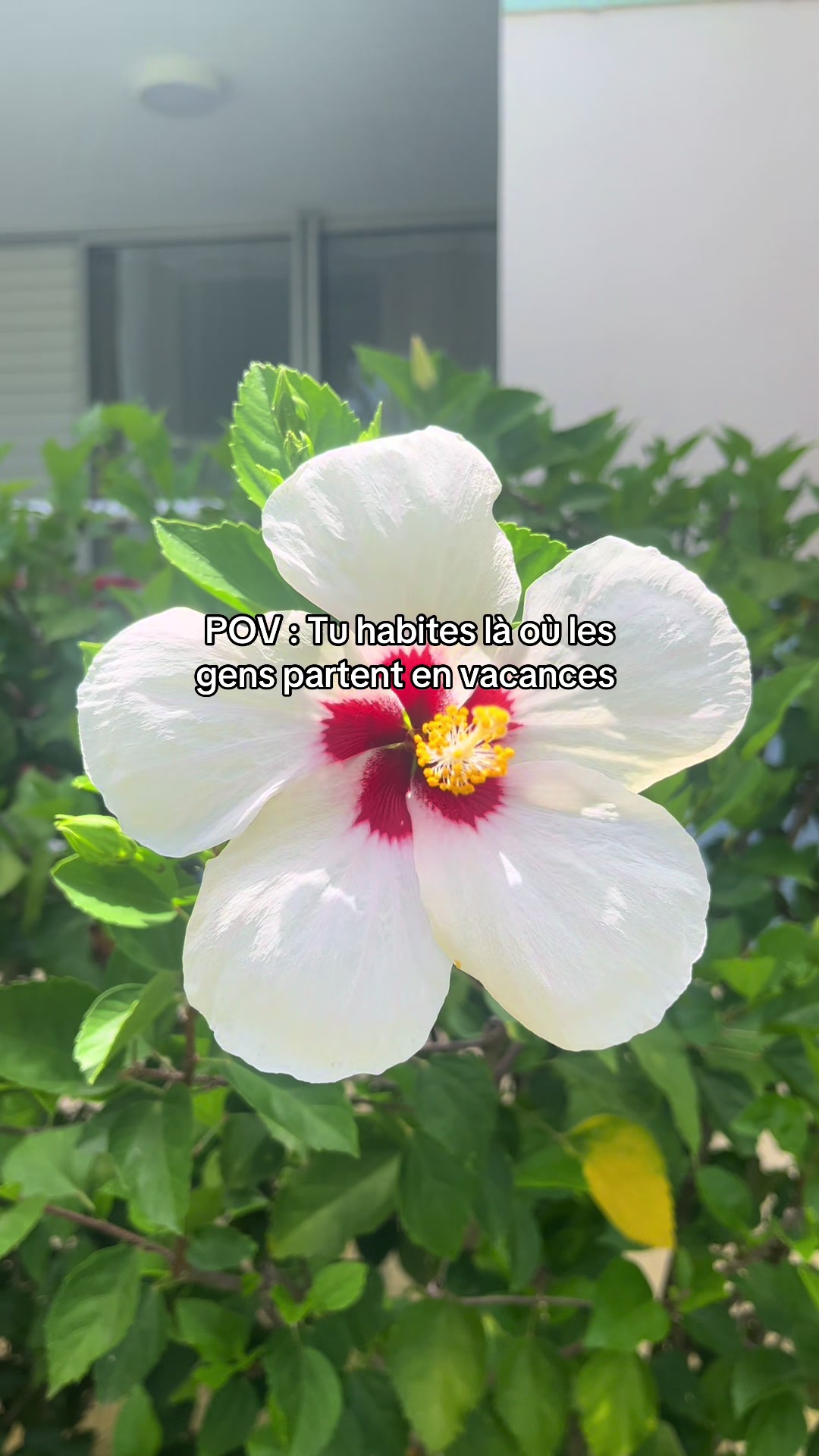 @𝑇𝑒𝑠𝑠𝑎 🎀