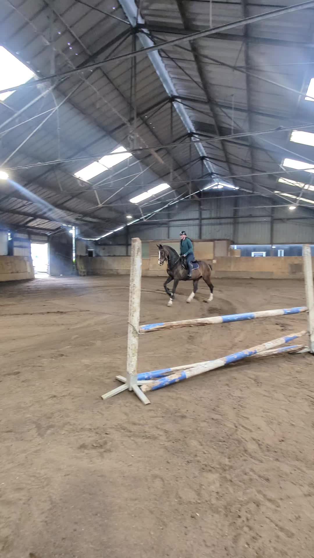 @Elegantia Horses
