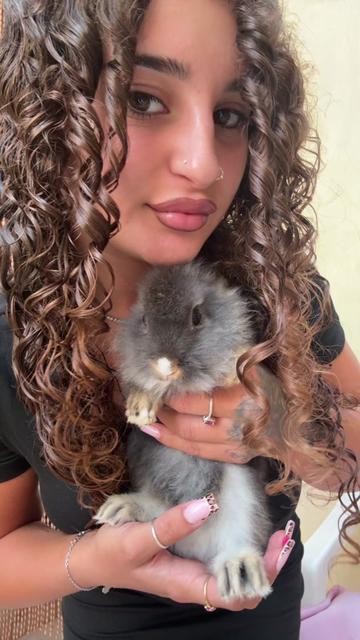@LaRiccia🦔🤍