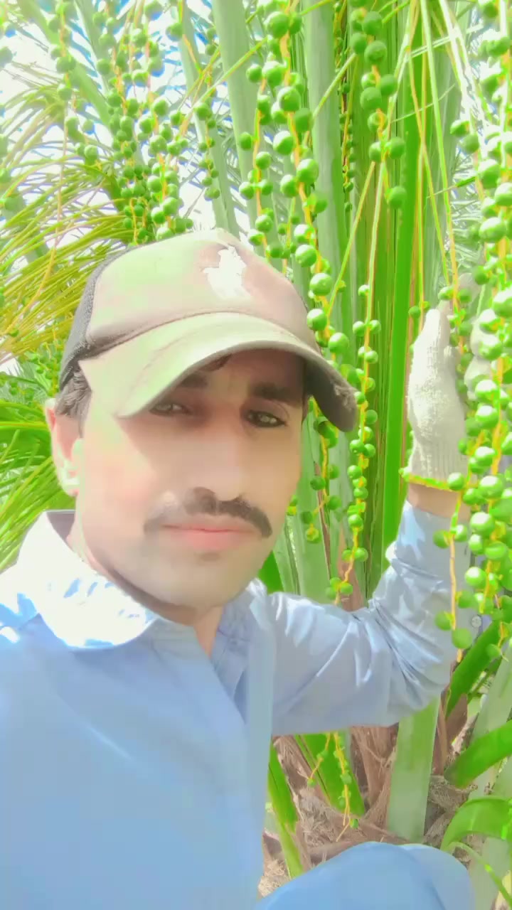 @Abdul nabi