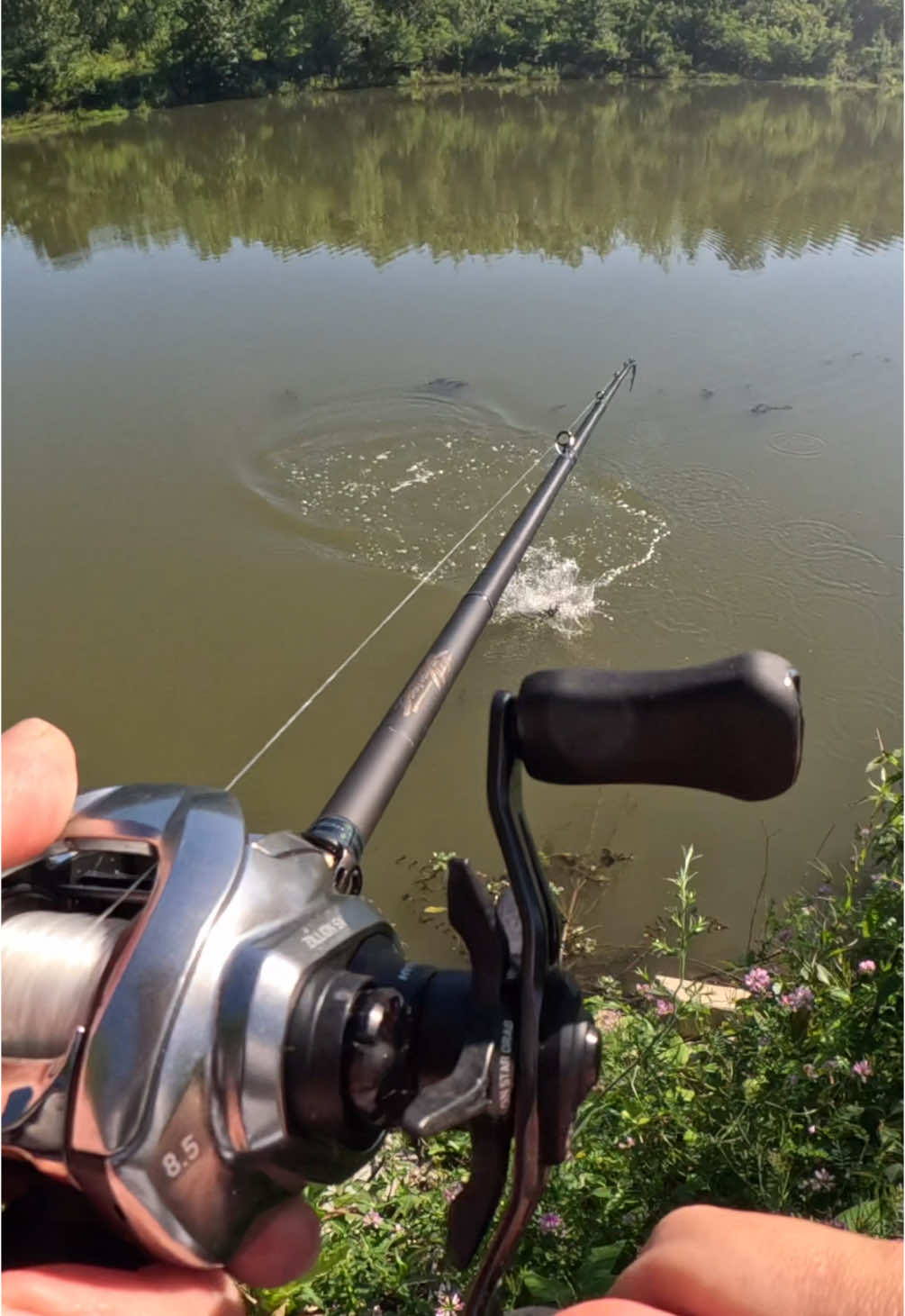 @Hamilton Bait & Tackle