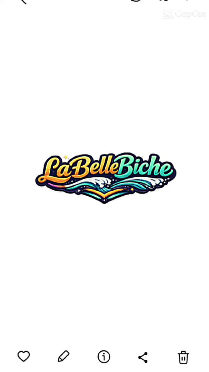 @LaBelleBiche