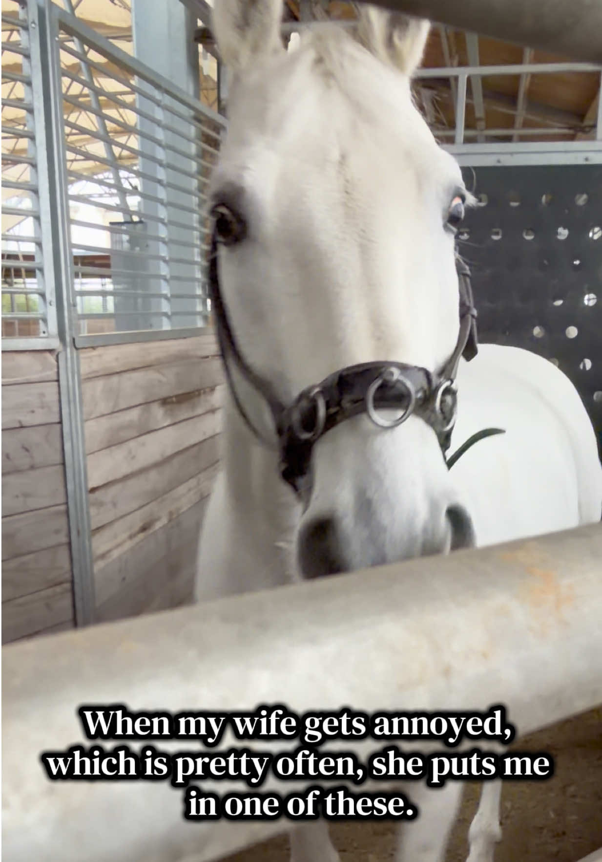 @Stonewell Farm