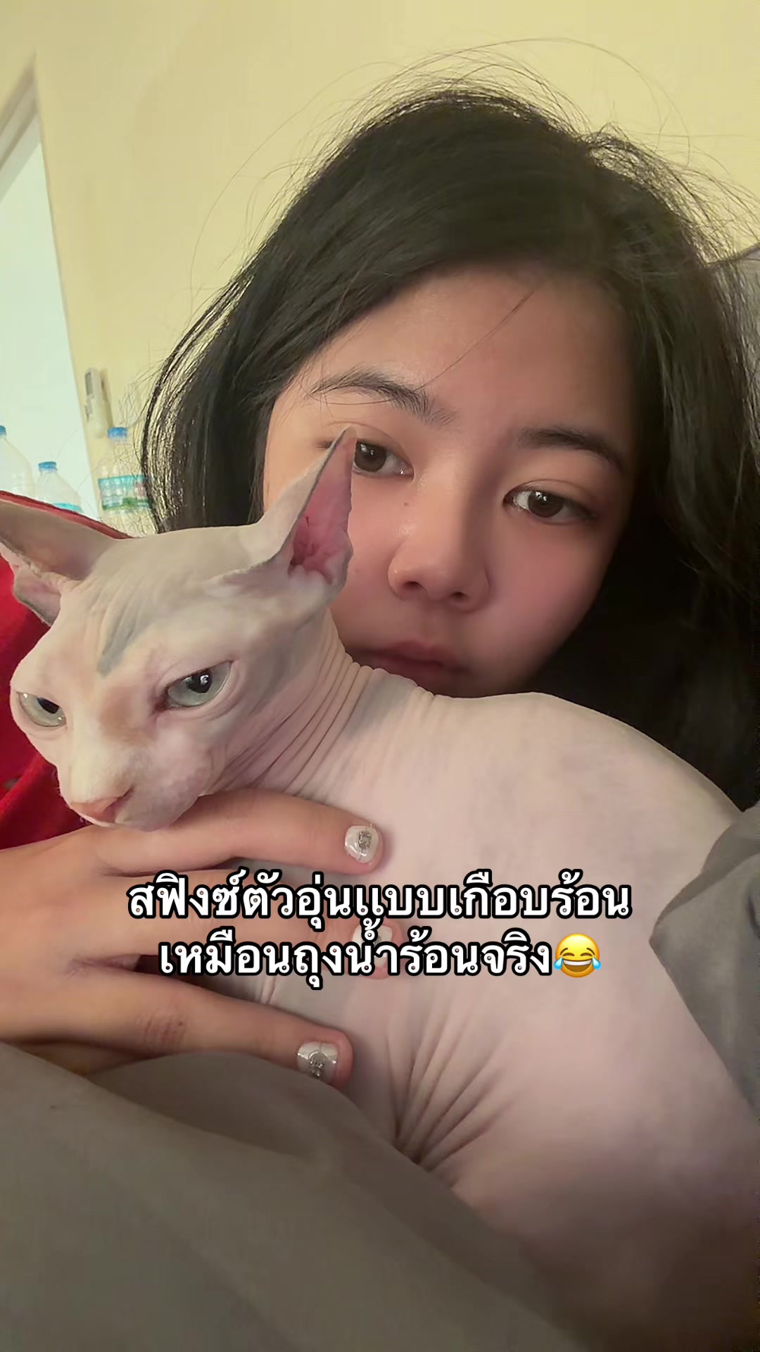 @ฝ้ายมีหมีเเล้ว