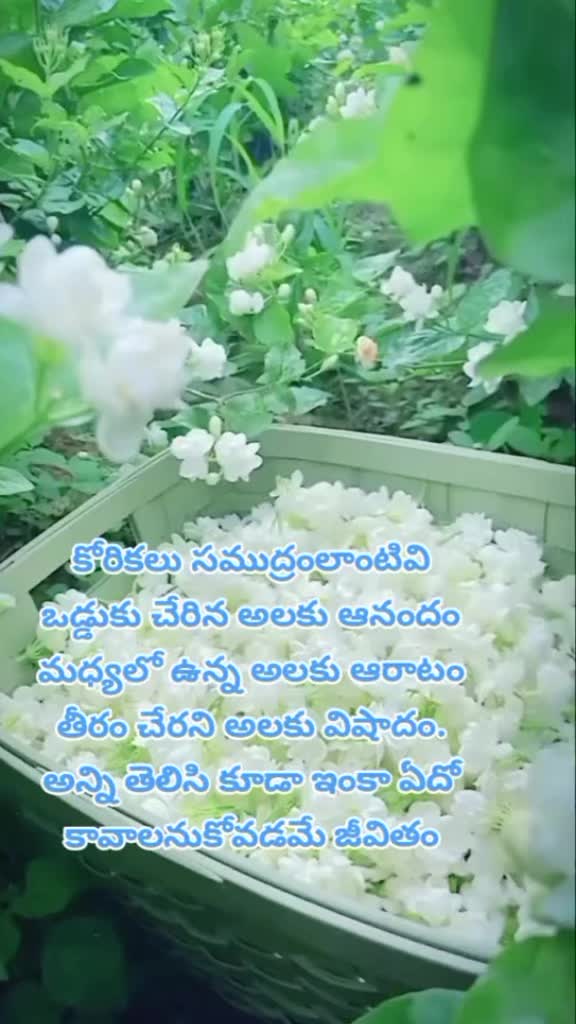 @dhandalaswami