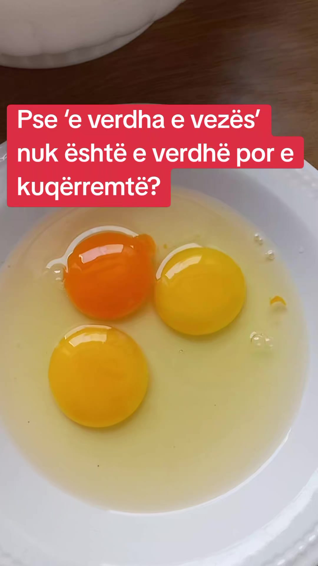 @Ylli Permeti