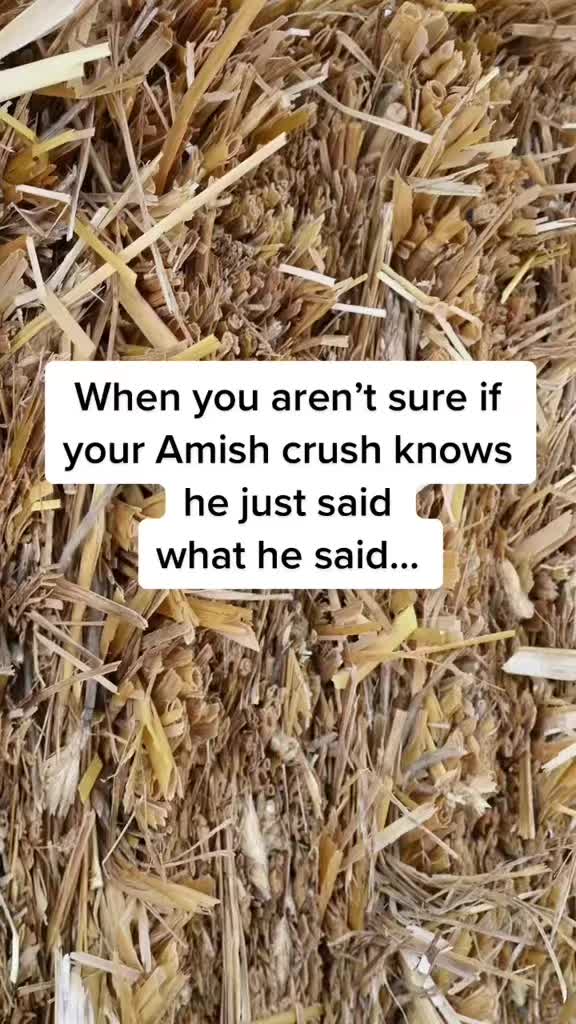 @amish.romance.reads