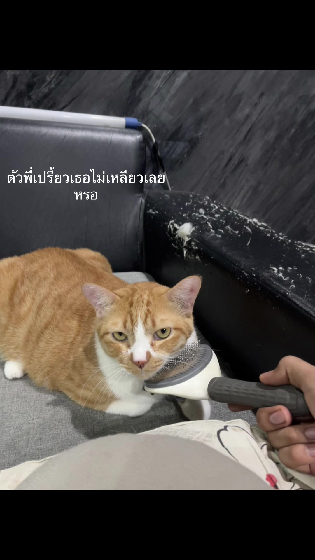 @กระเพราเป็ด
