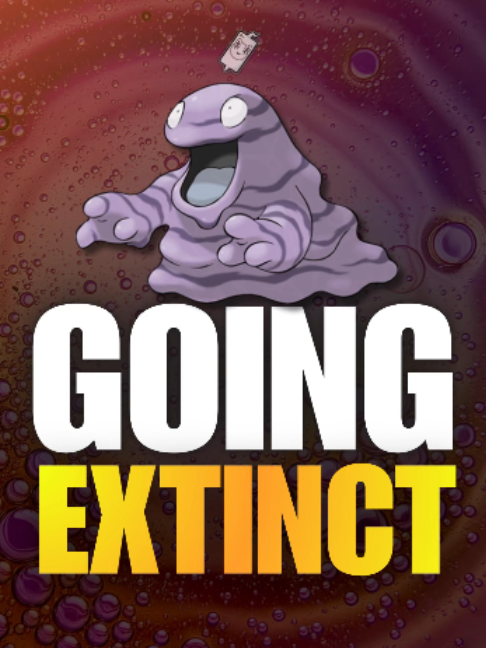 @Daily Pokemon