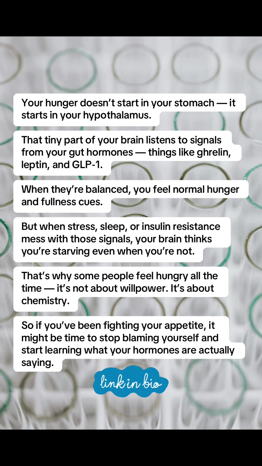 @bodybybiology3