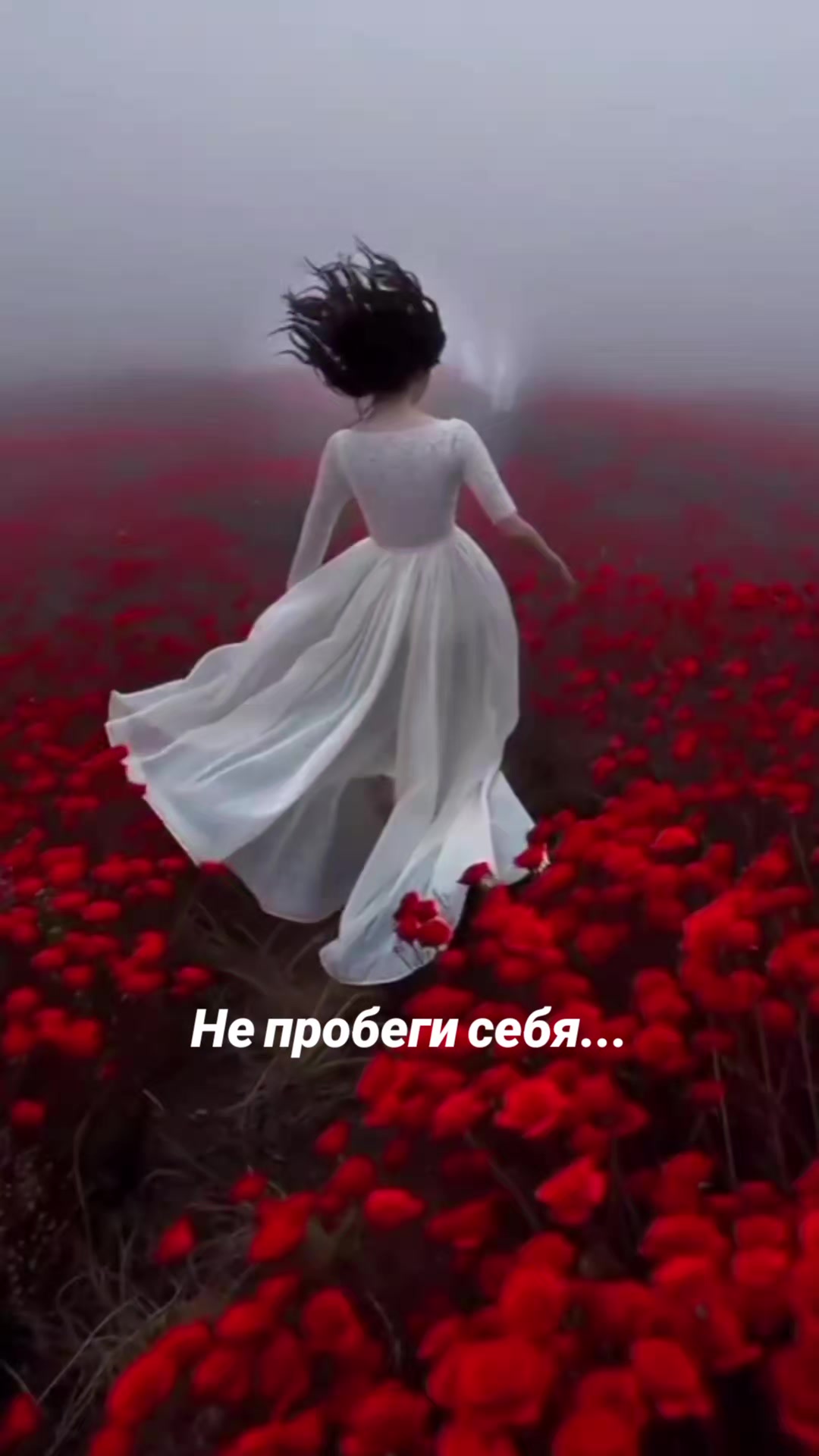 @Мила Телец.